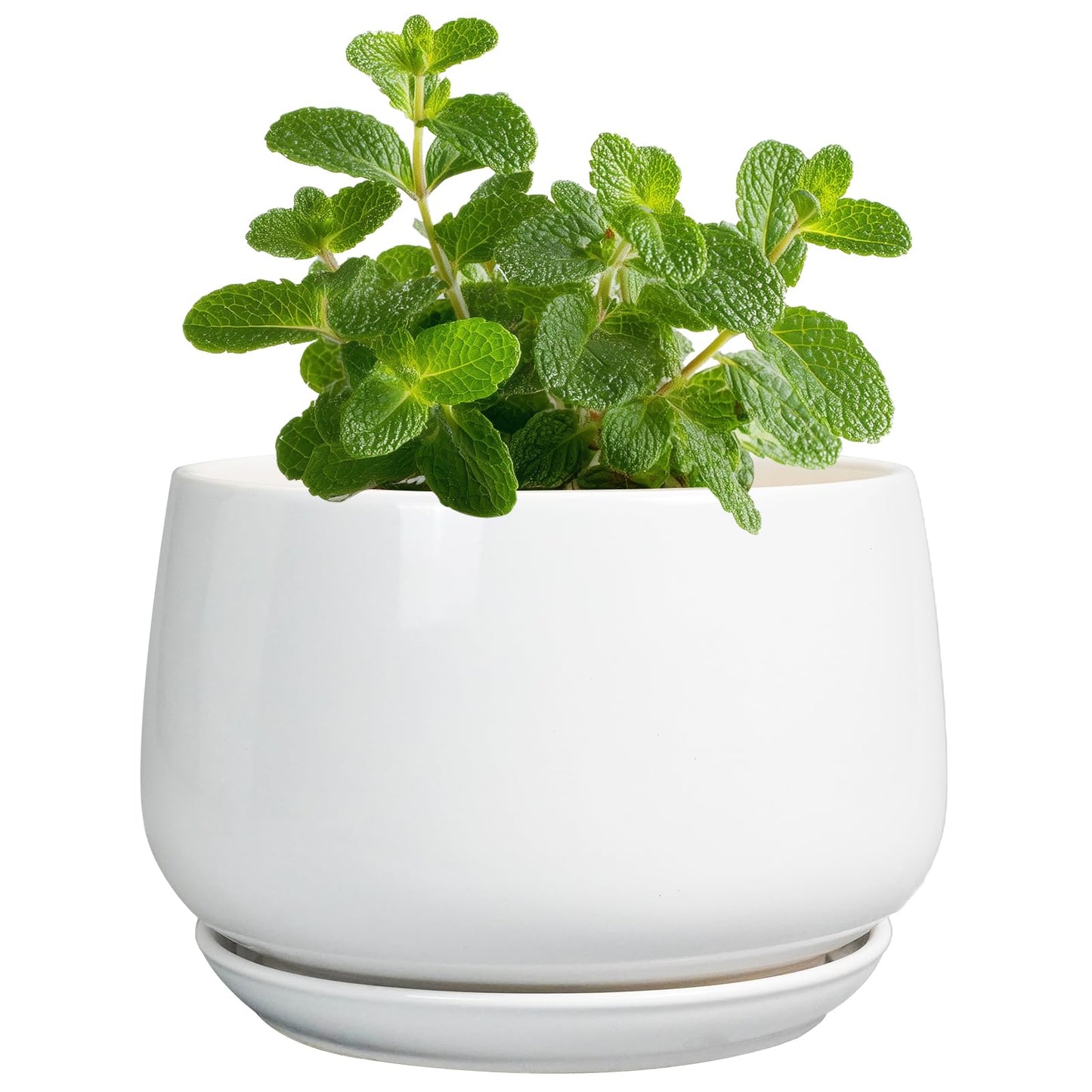 G EPGardening Ceramic Plants Pots - 4 inch Succulent Pots for Indoor Outdoor, Small Planter with Drainage Hole & Saucer, Round Planter, Modern Flower Pot, Office Decor, Plant Lovers Gifts, White