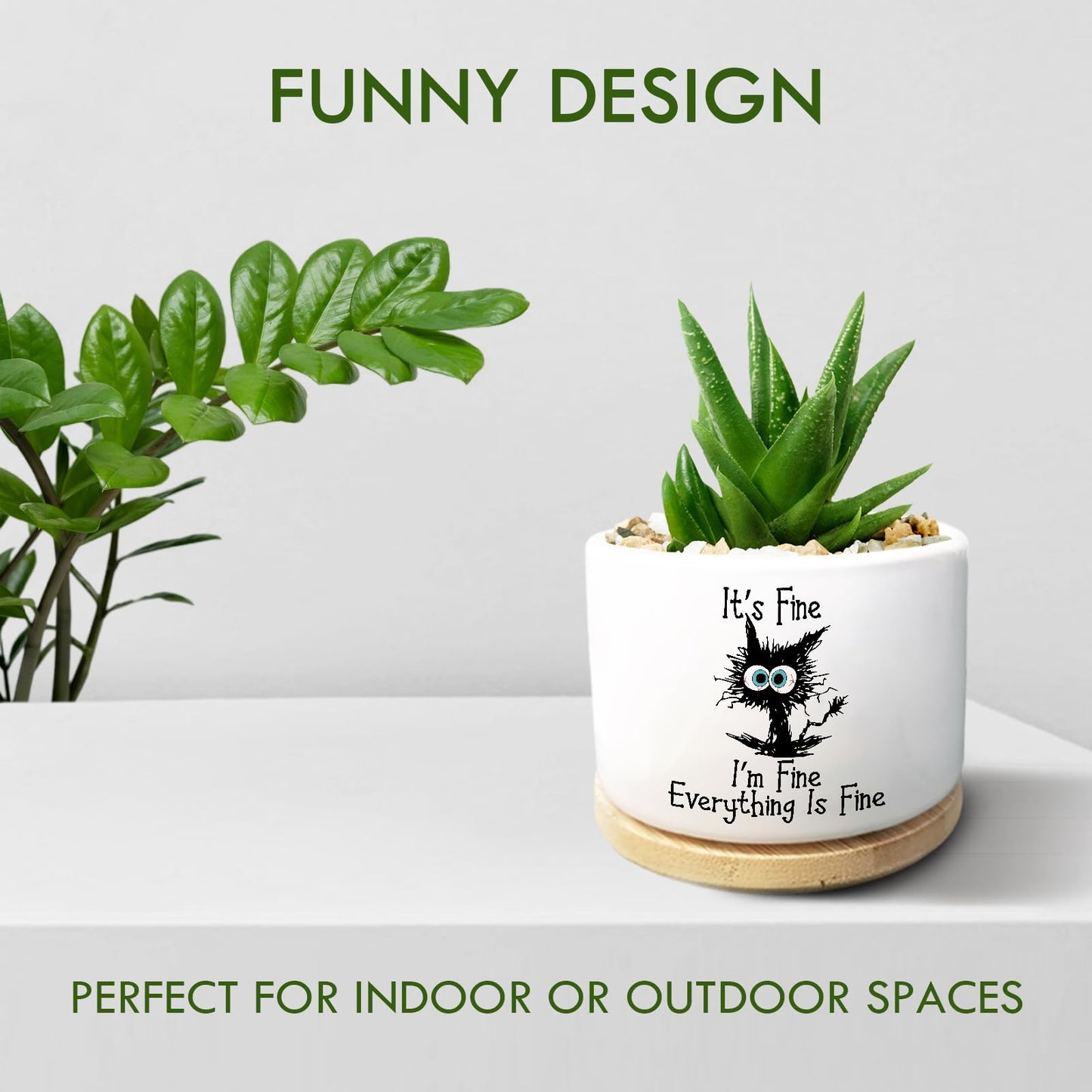 Jutasty Funny Cat Plant Pot for Succulent, Cactus Flower Planter for Indoor Plants, Cute Succulents Pots with Inspirational Quote, Windowsill Decor Planter Gift for Cats Owner Cat Lover (No Plants)