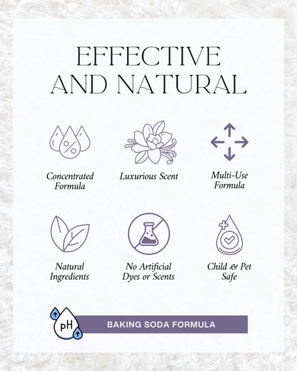 The Diamond Life Home "Noir Luxe" Eco-Friendly Carpet Powder/Upholstery Deodorizer – Black Plum, Sea Salt, and Ozone – Eliminates Odors Naturally, Cat Litter/Dog Bed Pet-Friendly, 15 oz