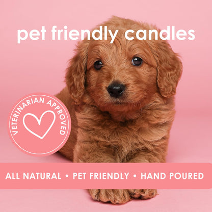 Pet Safe Candle for Dogs | Non Toxic Coconut Apricot Wax Candle | Clean Burning, Paraffin-Free | Pet Odor Eliminating Home Fragrance | 9 oz (Bergamot Sunrise)