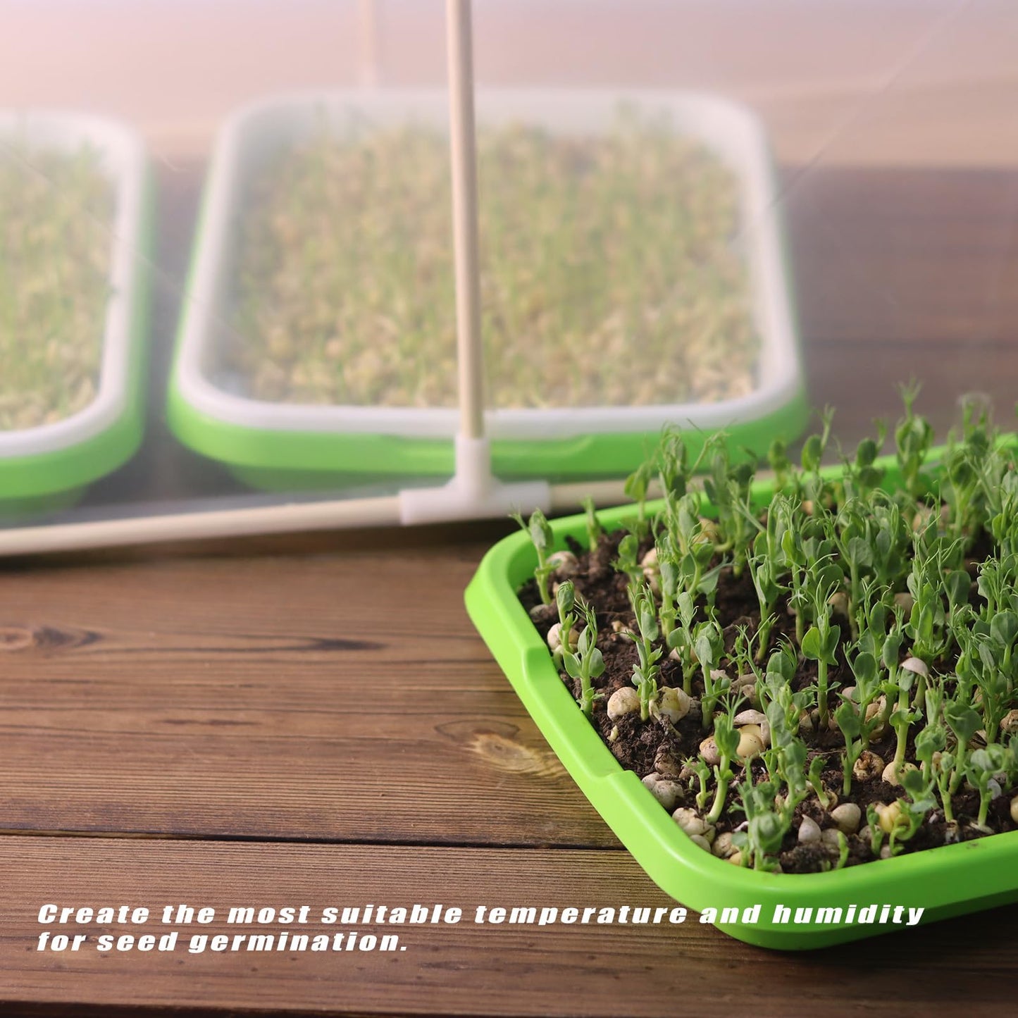 Mini Greenhouse for Indoor Plants ,Nursey Greenhouse for Seed Starter Tray,Plant Cover Freeze Protection,Small Green House for Seed Germination Kit