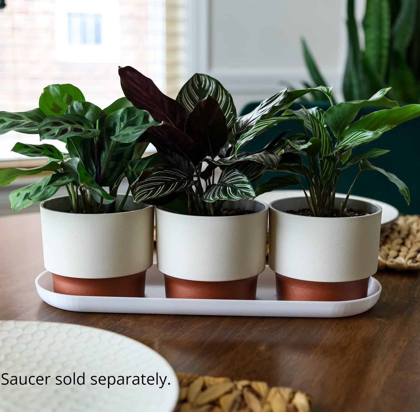 The HC Companies 3" Round Premium Plastic Sprite Pot Succulent Planter with Drainage - Vanilla Bisque with Copper Bottom Color