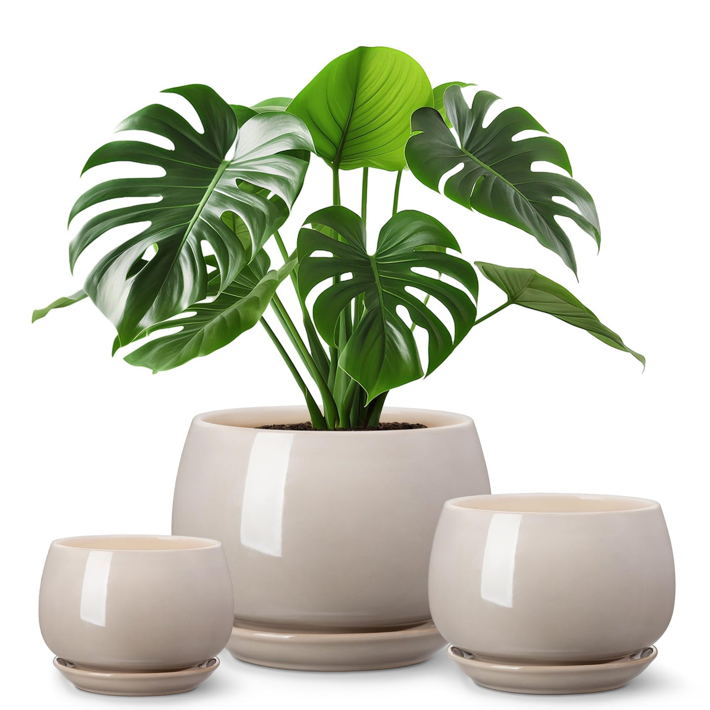vancasso 3-Pack Ceramic Plant Pots, 3.7/4.8/6.2 Inch Indoor Planters with Saucers & Drainage Hole Planter pots for Indoor Plants and Flower, Gray