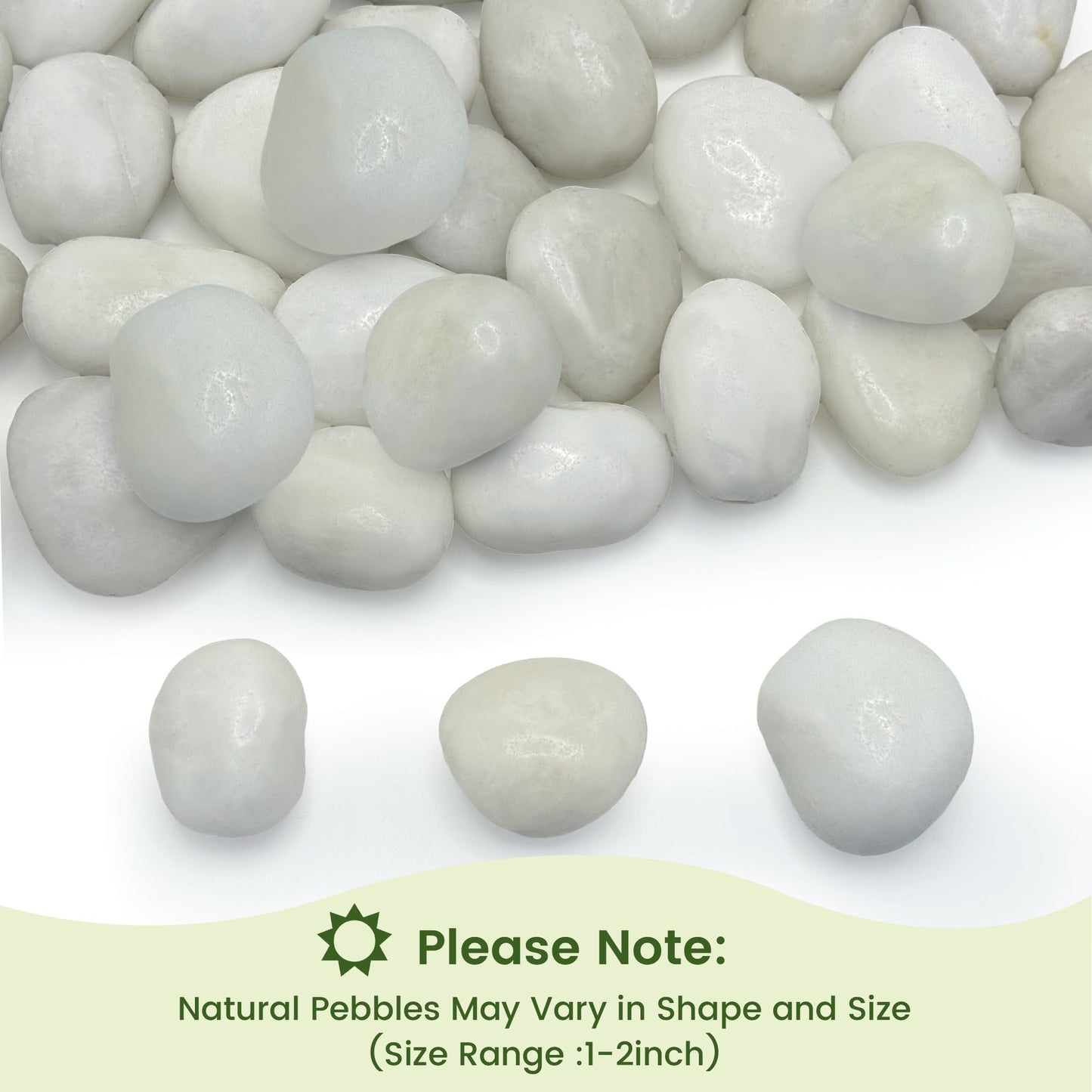 5 lbs White River Rocks, Polished Pebbles for Indoor Plants, 1-2 inch Decorative White Stones for Plants Vase Aquarium Fish Tank and Outdoor Garden Landscaping Rocks
