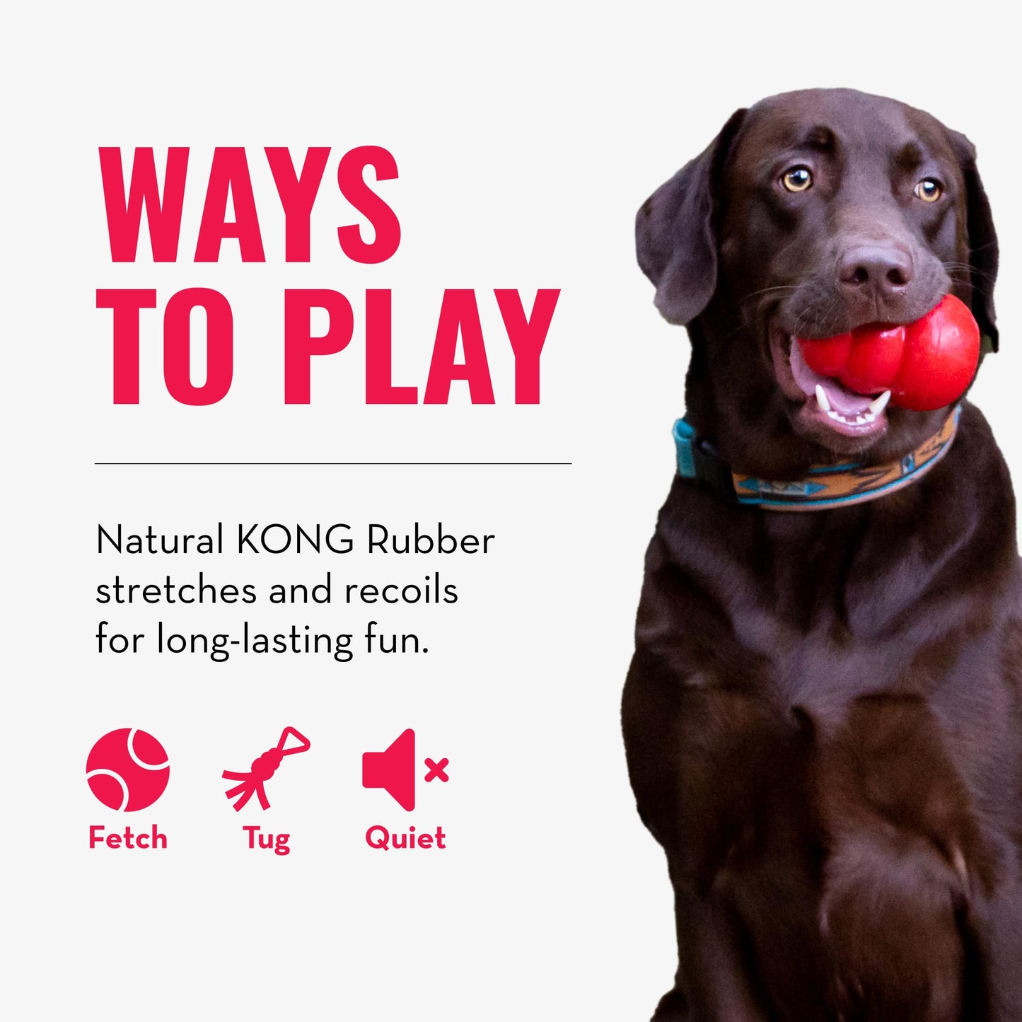 KONG - Tug - Durable Stretchy Rubber, Tug of War Dog Toy - For Medium Dogs