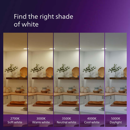 PHILIPS LED 75W A19 4-Pack Ultra Definition Daylight (5000K) 1100 Lumen (9W = 75W) Dimmable Frosted Flicker-Free Light Bulbs