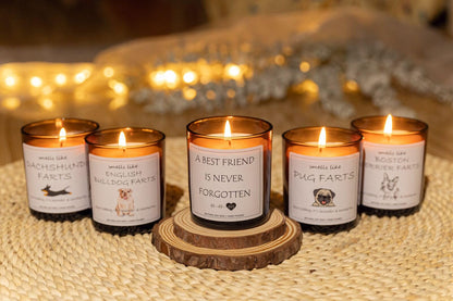 Dog Memorial Gifts for Loss of Dog, Pet Loss Sympathy Gift, A Best Friend is Never Forgotten Candle - Lavender and Eucalyptus, Crafted by Natural Soy Wax & Natural Essential Oils