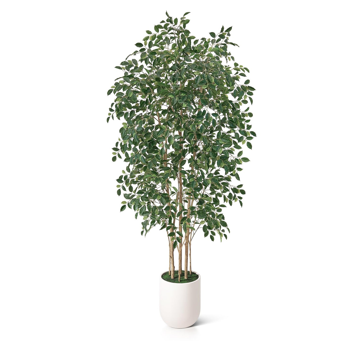 VeriNatural 8FT Artificial Ficus Tree, Faux Plants Indoor Fake Trees Artificial - Potted Fake Ficus Tree with Realistic Leaves and White Planter,Floor Plant for Home Decor, Office Entryway