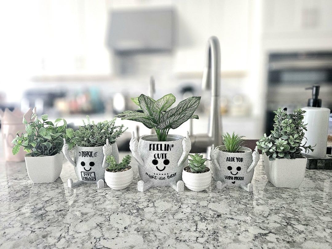 Funny Face Head Planter Pot, Unique Small Succulent Flower Pot, Cute Cactus Planter, Indoor Outdoor Home Decor, Office Desk Plant Pot, Novelty Gardening Gift Set (Please Don't Die, Medium)