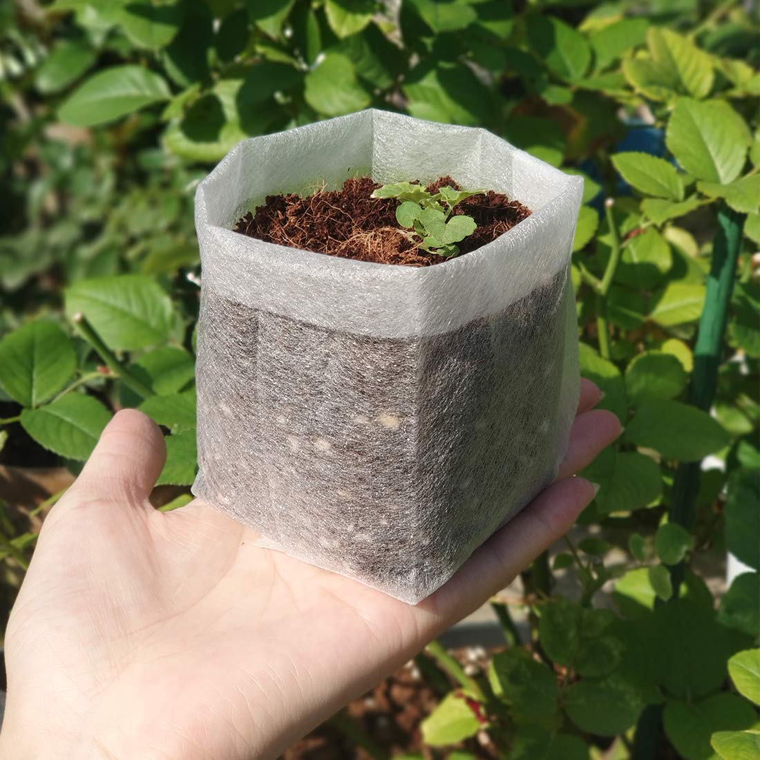 Belit Nursery Growing Bags, 100 Pcs Fabric Seedling Pots Non-Woven Pouch for Gardening Seed Plant Bag, Potato, Flower, Tomato Plant Starts (5.7" x 5.7 ")