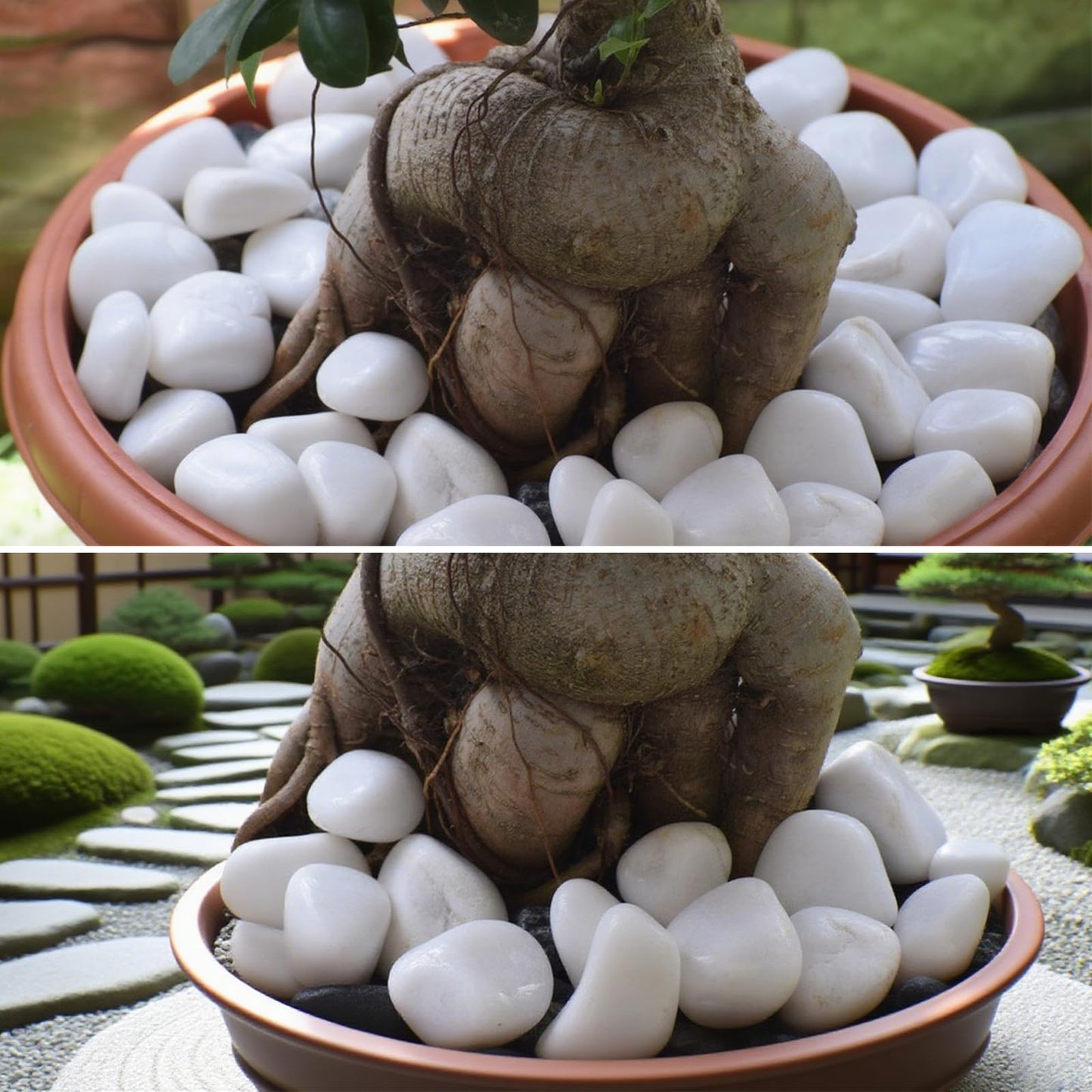 SHIZWU 40lbs White Rocks for Landscaping,2-3 Inch Decorative Pebbles for Plants,River Rocks for Backyard,Flower Beds, Indoor Fountains, Paths, Aquarium Vase,Outdoor Garden