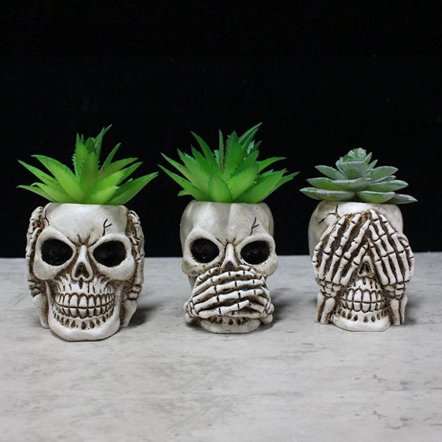 Simcat Succulent Pots with Drainage Mini Creative Skull Decor Resin Flower Pot 3 Cactus Planter Pots Succulent Plant Pots + Removable Drainage Stopper for Home Office Desktop Windowsill Décor