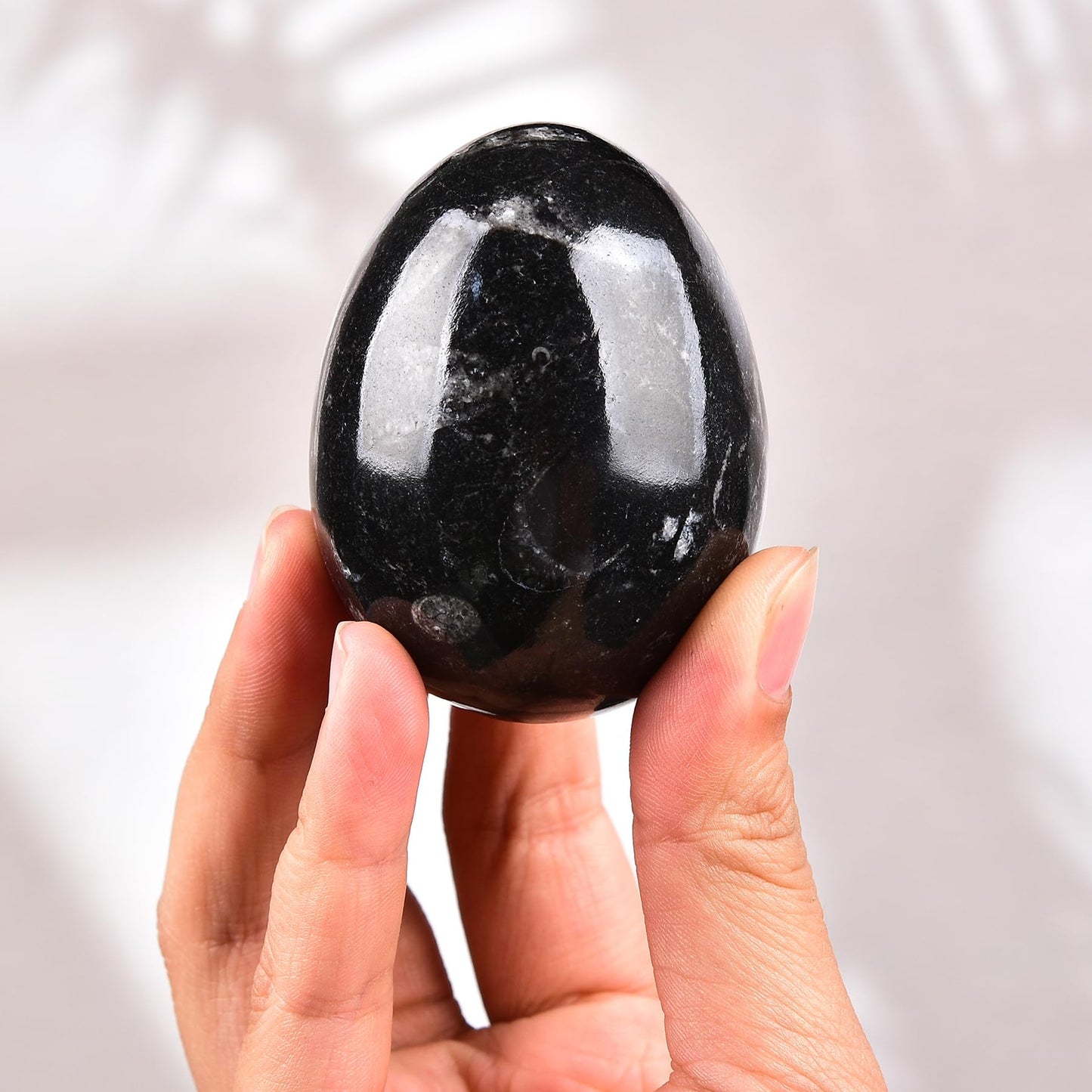 AMOYSTONE Orthoceras Stone Egg Black with Natural Stone Base for Healing Reiki Home Decors Medium, Single Height 2.5-3"