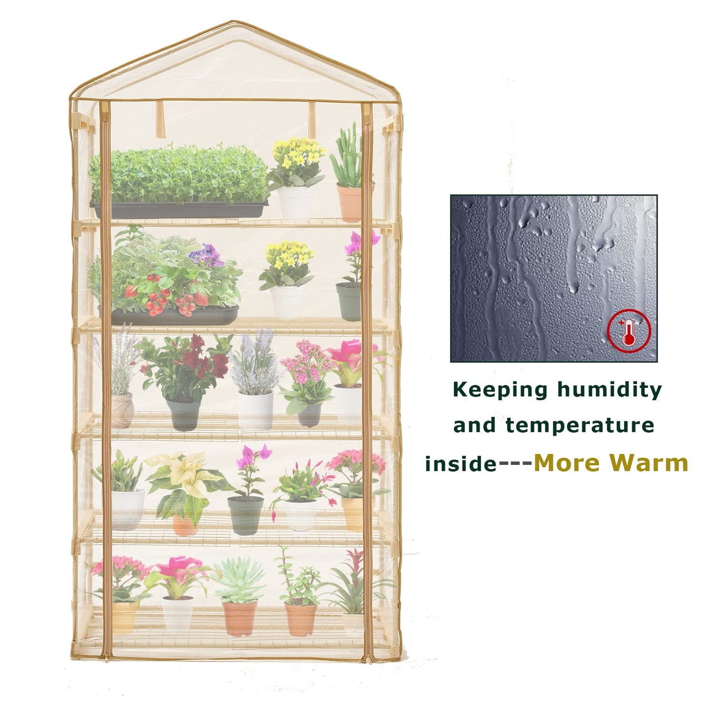 Purlyu Garden 50% Extra Wide Mini Greenhouse 5 Tier Portable Plant Green House 40 in Wide -Sturdy Gardening Shelves with PE Cover & Roll-Up Zipper Door-19″W. x 40″L. x63″H(PLGH1005OWP)