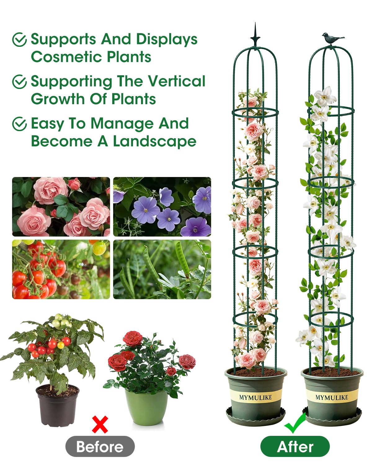 2PCS Garden Trellis for Climbing Plants, 6.2FT Rustproof Metal Pipe with Heavy Duty Plastic Coated, Garden Outdoor Indoor Potted Plant Support, Obelisk Garden Trellis for Climbing Vine (Green)