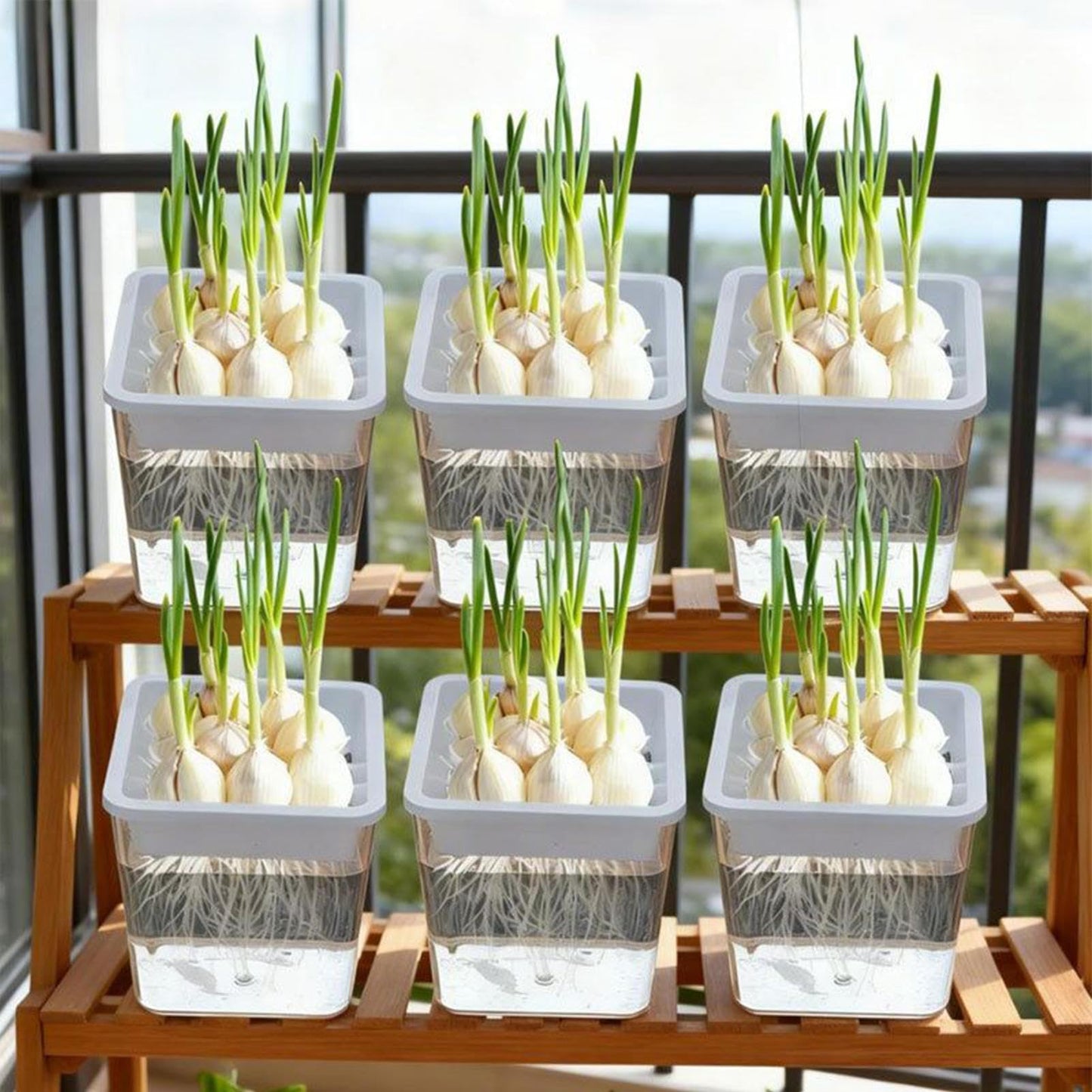 Flower Pots for Plants | Transparent Plant Containers,Outdoor Flower Pots | for Semi-Hydro Cuttings Seedlings African Violets Balcony Desk Garden Porch Windowsill Bedroom Living Room Yard