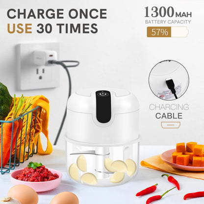 EASYSPEED Electric Garlic Chopper 1Cup, Mini USB Charging Wireless Food Processor with 304 Stainless Steel, 2 Sharp Blades, Portable Kitchen Meat Grinder for Onion, Garlic, Ginger, Baby Food