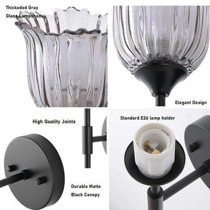 BYOLIIMA Vintage Wall Sconce Set of 2 with Smoke Gray Glass Shades Mid Century Bathroom Vanity Wall Light Fixtures Industrial Matte Black Wall Lamp for Bedroom Mirror Living Room Restaurant
