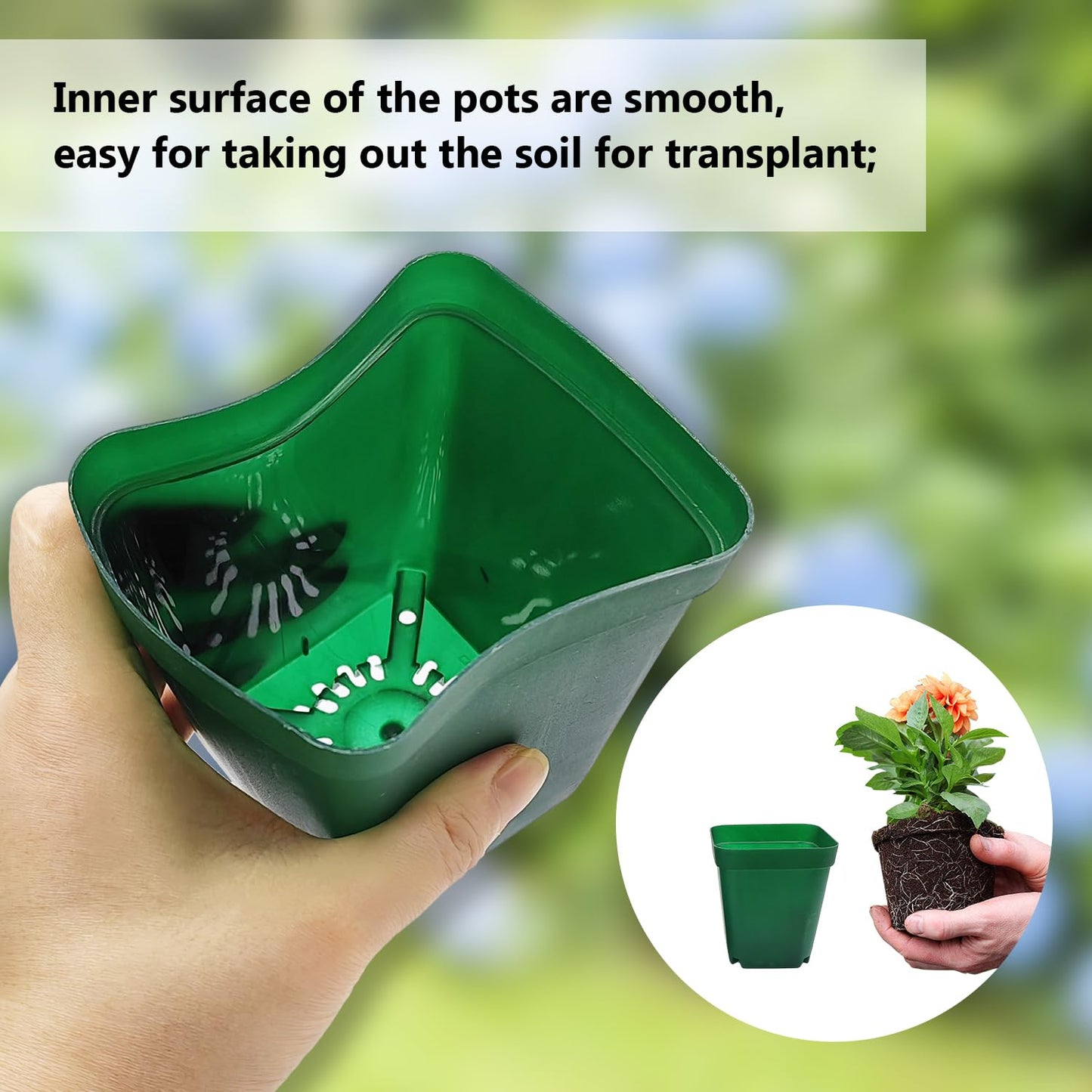 RooTrimmer Square Nursery Succulent Pots 4 Inches 60 Pcs Deep Flower Plant Nursery Seedling Grow Pots Plastic with Drainage (Green, 4Inches, 60Pcs)