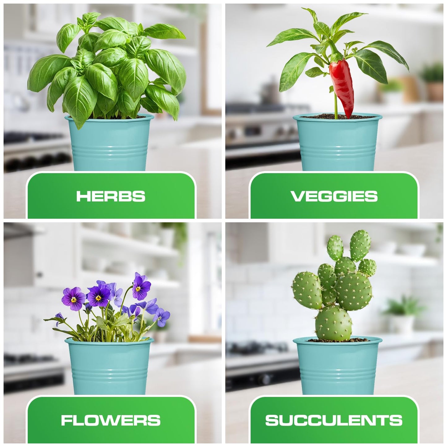 Plexon Herb Planter Indoor Garden Set of 3 with Tray, Metal Herb Pots for Indoor Plants, Round Kitchen Garden Kit Ideal for Windowsill Planter or Countertop, Aqua Mist Blue Powder Coated