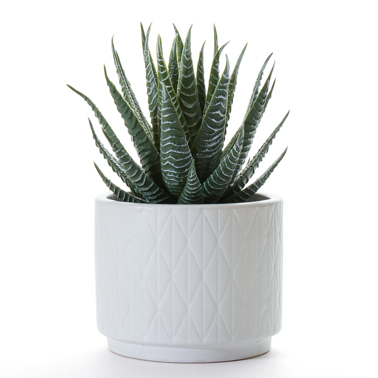 Artificial Succulent Plant in Matte White Ceramic Pot | 7" high Dark Green Aloe Plant | Great as desk decor or bathroom decor | beautiful realistic faux succulent with no maintenance