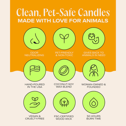 Companion Candles You Got This! Pet-Friendly Scented Candle – Tropical Nectar & Fruits Fragrance - Coconut Soy Wax Candle with Wooden Wick, Approx. 50-Hour Burn Time, Made in USA, 11.8 oz