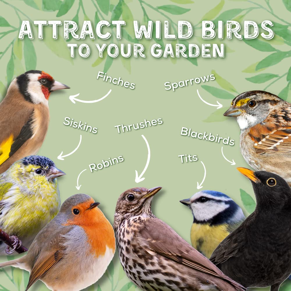 Copdock Mill Wild Bird Seed Supreme Mix 20kg – All Year-Round Bird Food – 100% Natural Ingredients Including Peanuts for Wild Birds – Suitable for All Wild Bird Species