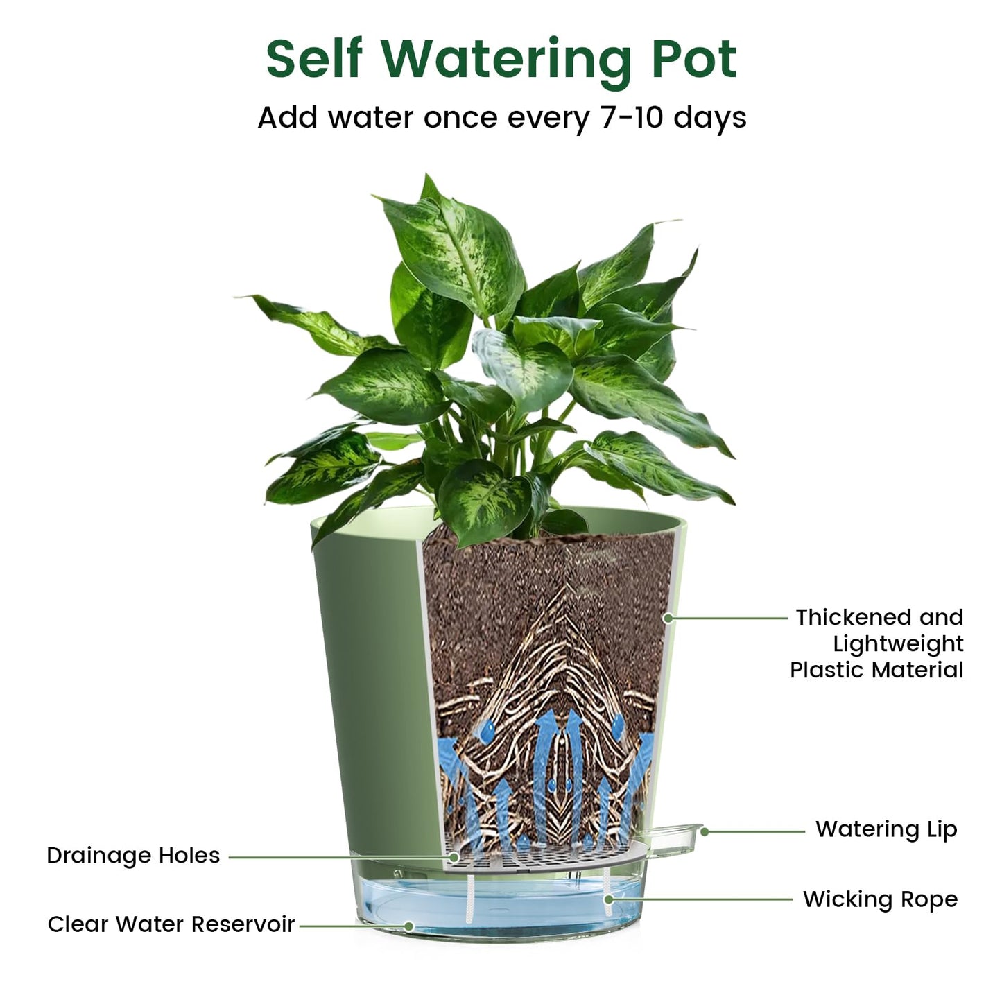 Meowell Self Watering Pots Pack of 6 – Different Size 4" to 7" Indoor Plant Pots with Drainage Holes and Clear Reservoir for Visible Water Level, Plastic Wicking Planters for House Plants, Green
