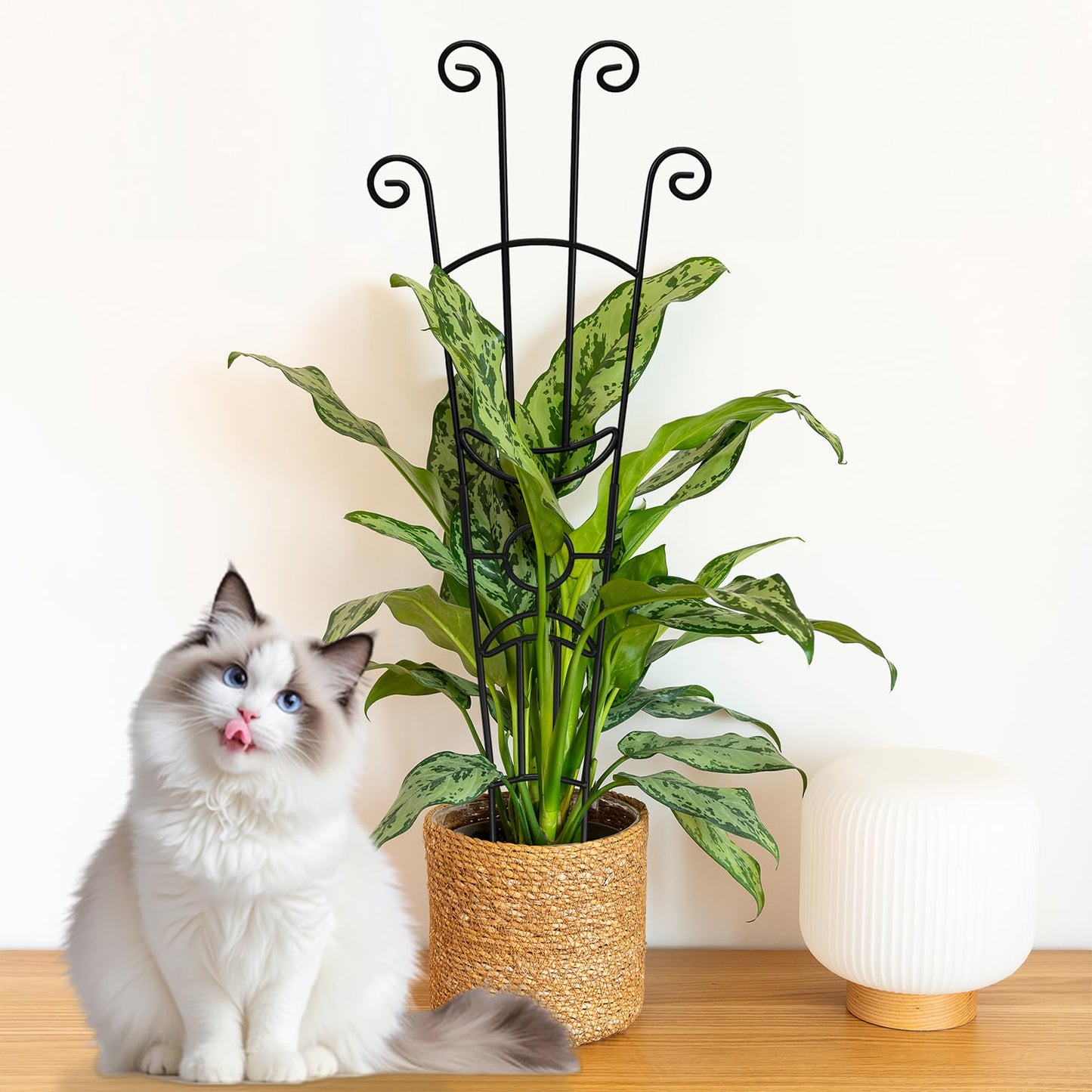32.6in Monstera Plant Support Stakes for Indoor Plants, Metal Garden Plant Trellis for Climbing Plants, Pothos Vine Snake Climber Support，2p