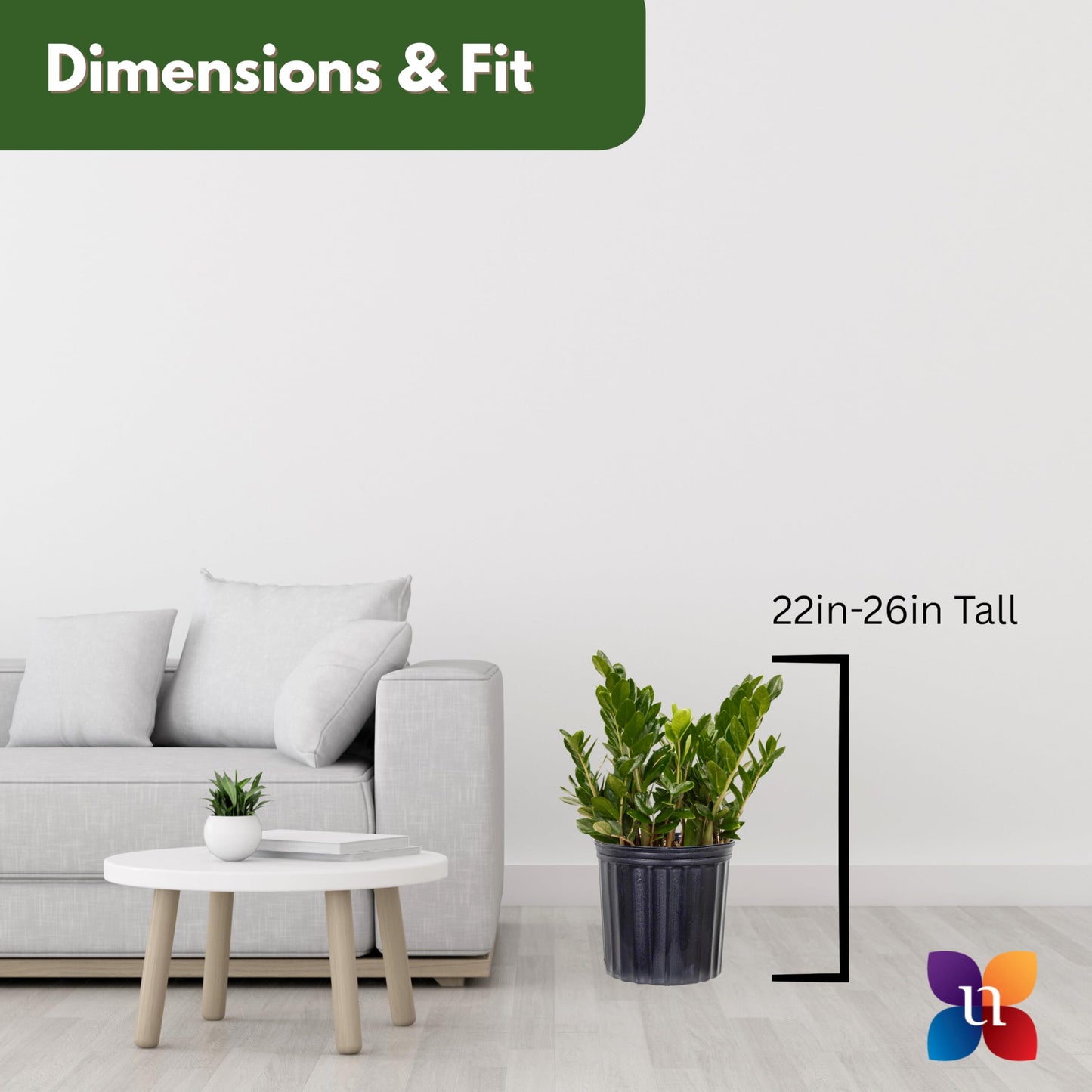 United Nursery ZZ Plant Live 22–27 inches Tall in 10 inch Plant Pot, Large Indoor House Plant, Low Light Drought Tolerant Floor Plant for Home and Office