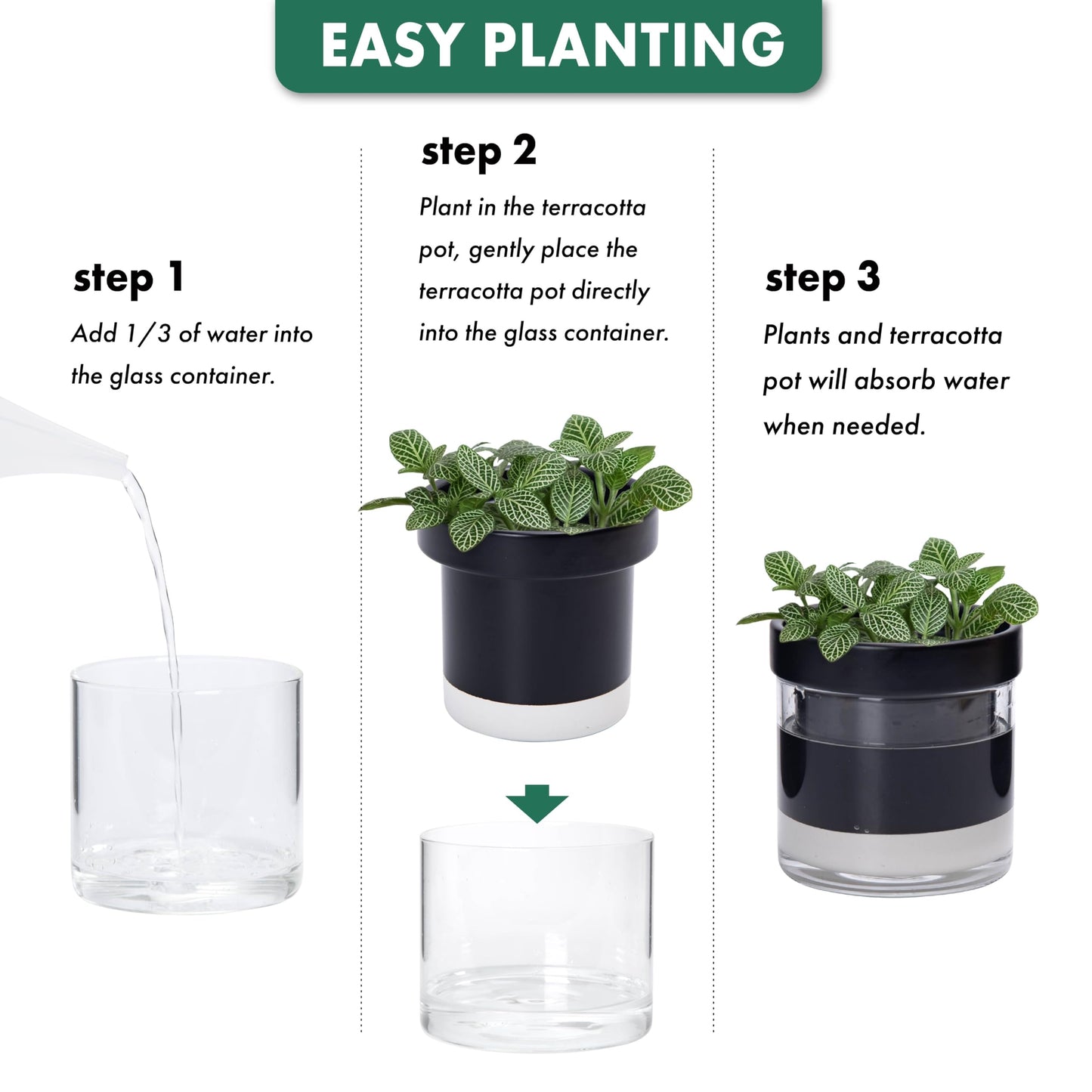 Phoenix Vine 4 Inch Self Watering Terracotta Planter, Black Terracotta Clay Pot with Glass Reservoir for Indoor Plants, Herbs, Flowers, Set of 1, 52-C-E-1