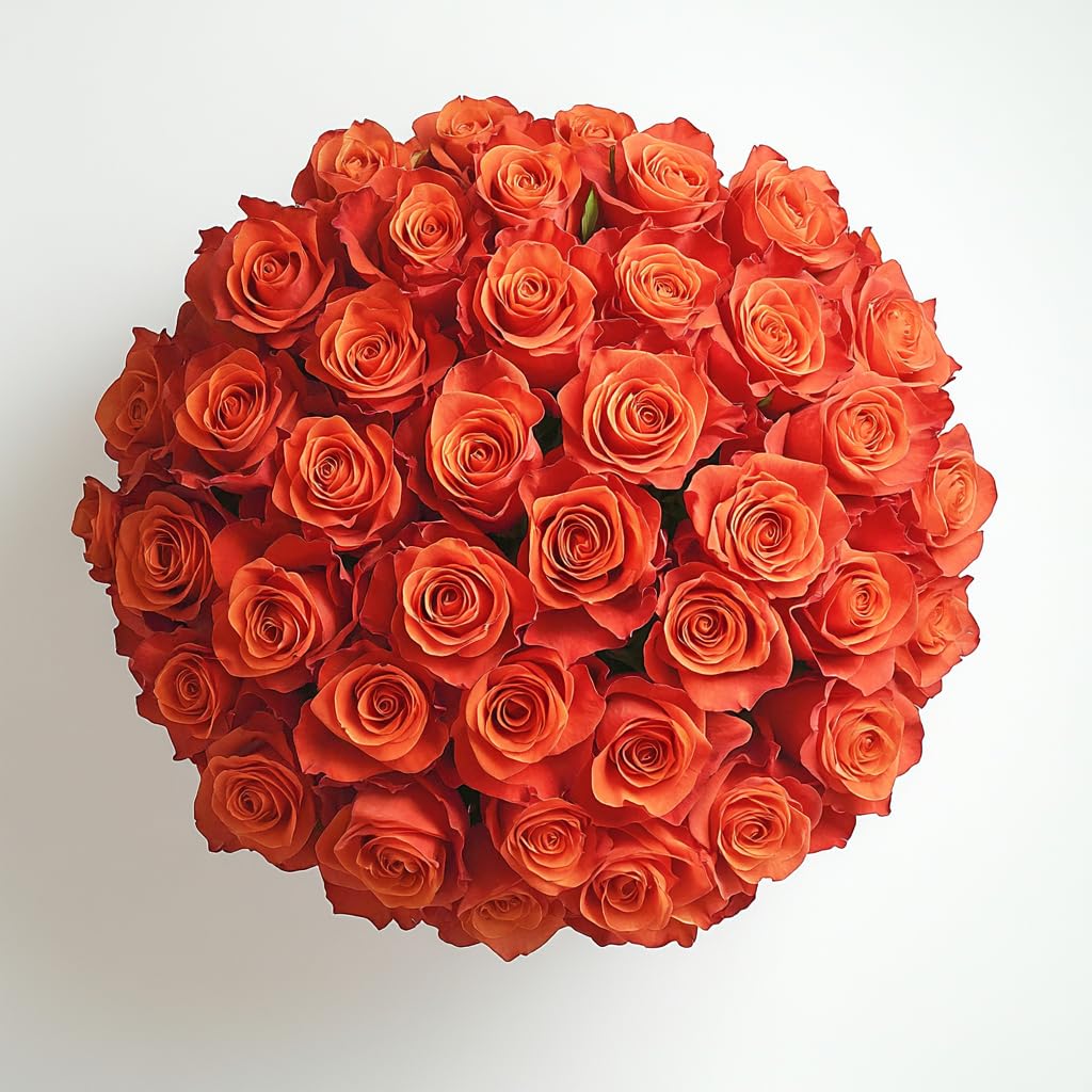 GlobalRose 75 Orange Roses Bouquet - Responsibly Sourced Roses Fresh Flowers - Hand-Picked Flowers Fresh Bouquet for Graduation, Anniversary, Birthday & Special Occasions (3 Bunches of 25 Stems)