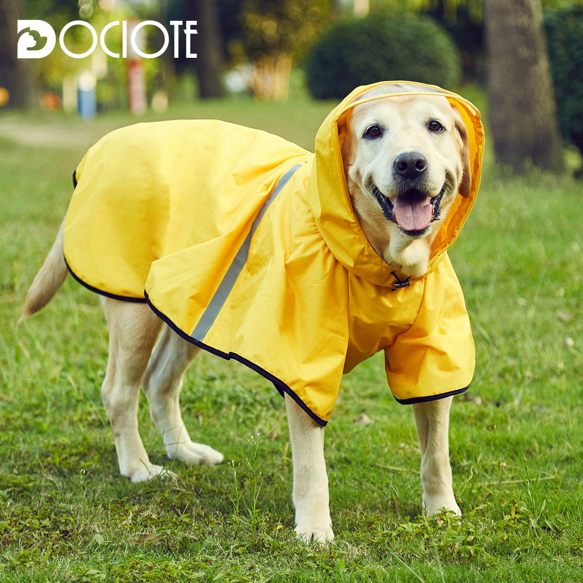 Petco Waterproof Dog Coat with Hood - Breathable, Adjustable, Yellow, 5XL