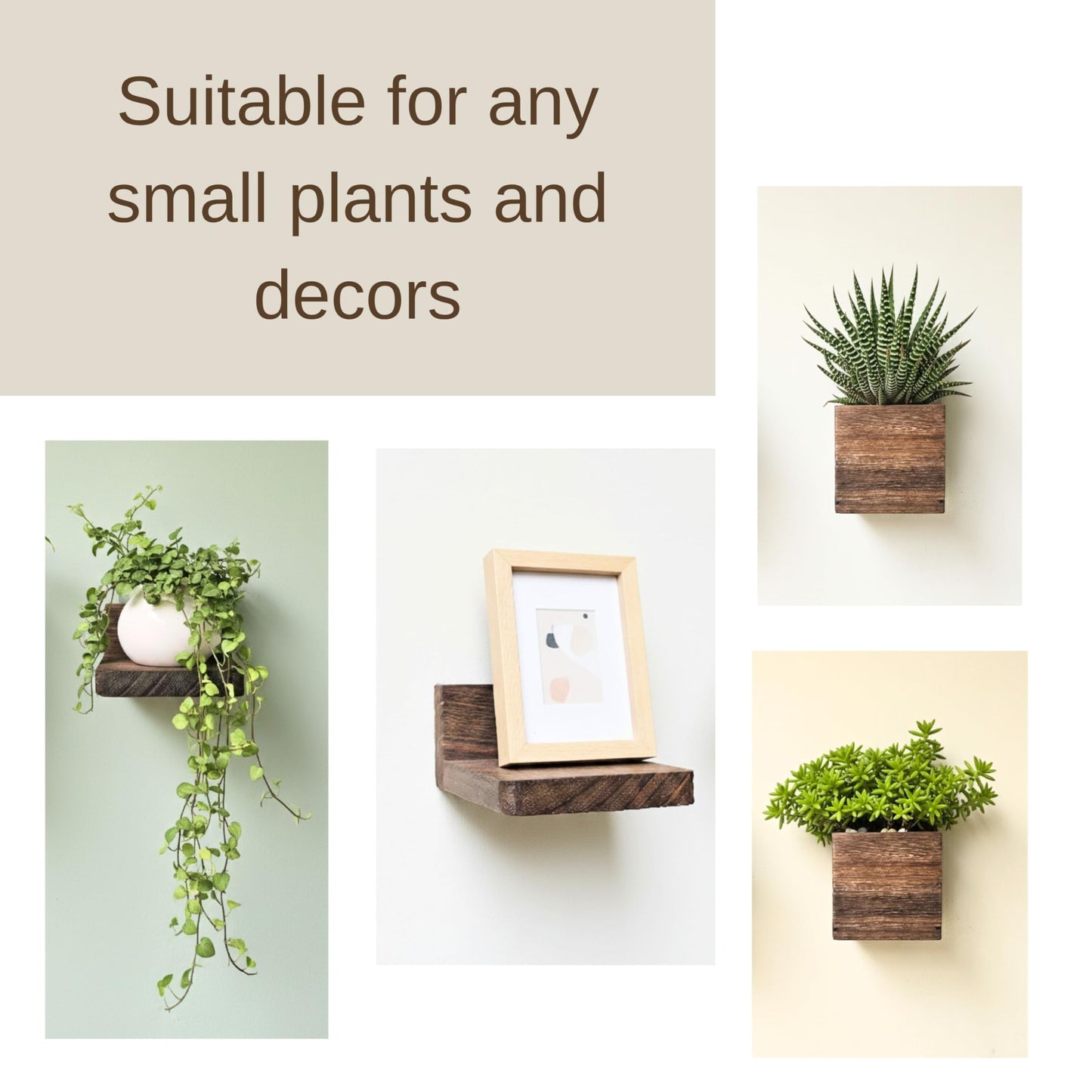 LaLaGreen Wood Planter Box for Indoor Plants (6 Pack) Wooden Wall Hanging Planters for Dried Flowers, Modern Farmhouse Wall Mount Greenery Decor Living Room, Bedroom, Kitchen, Office Home Garden