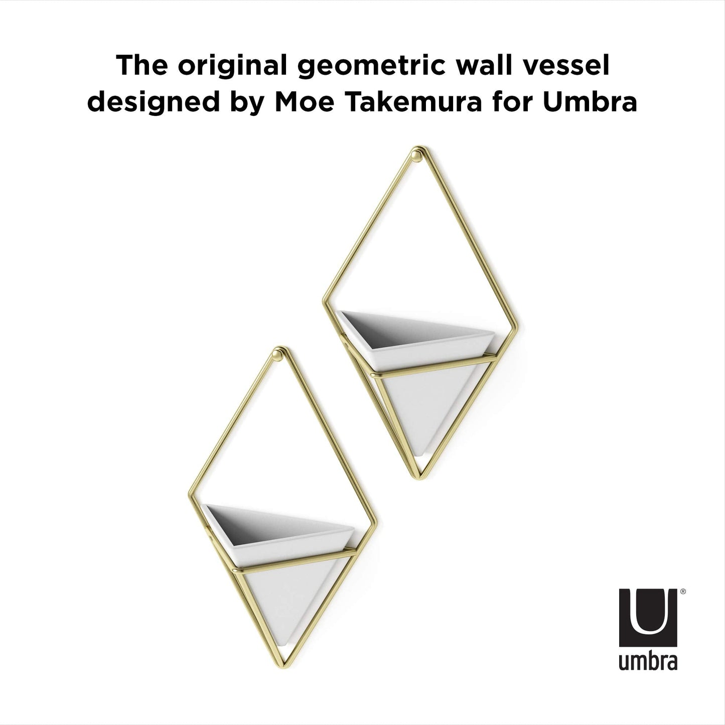 Umbra Trigg Hanging Planter Vase Wall Decor, Set of 2 Pots Containers for Succulents, Cactus, Faux Plants, and More, Small, White/Brass