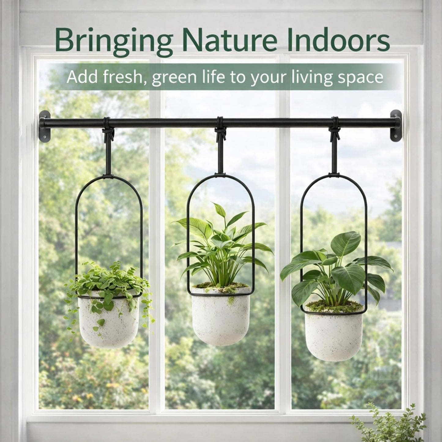Adjustable Hanging Window Planter Set, Window Hanging Planters, Indoor and Outdoor Wall Plant Hanger, with 3 Plastic Pots, Flexible Nylon Rope, for Windows and Ceilings (Black)
