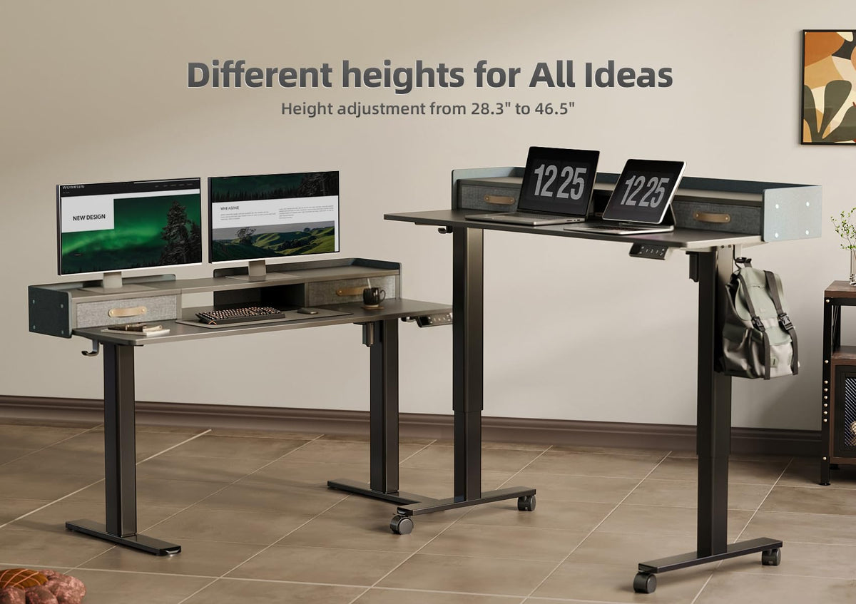 YDN Standing Desk with Drawers, 48 Inch Standing Desk Adjustable Height, Adjustable Electric Stand Up Sit Stand Small with Storage and Shelf, Black
