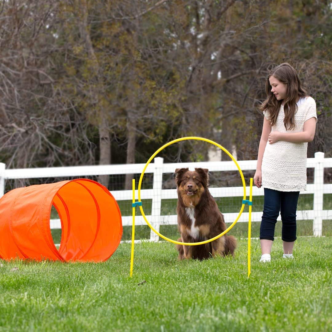 Outward Hound Kyjen 42003 Zip & Zoom Outdoor Agility Kit 3 Obstacle Dog Agility Kit with Dog Tunnel Weave Pole High Jump, Large, Multicolor