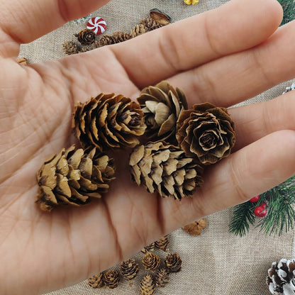 TIHOOD 160PCS 1.18"-1.97" Christmas Natural Mini Pine Cones-Thanksgiving Pine Cones Ornaments for DIY Crafts, Home Decorations,Fall and Christmas,Wedding Decor
