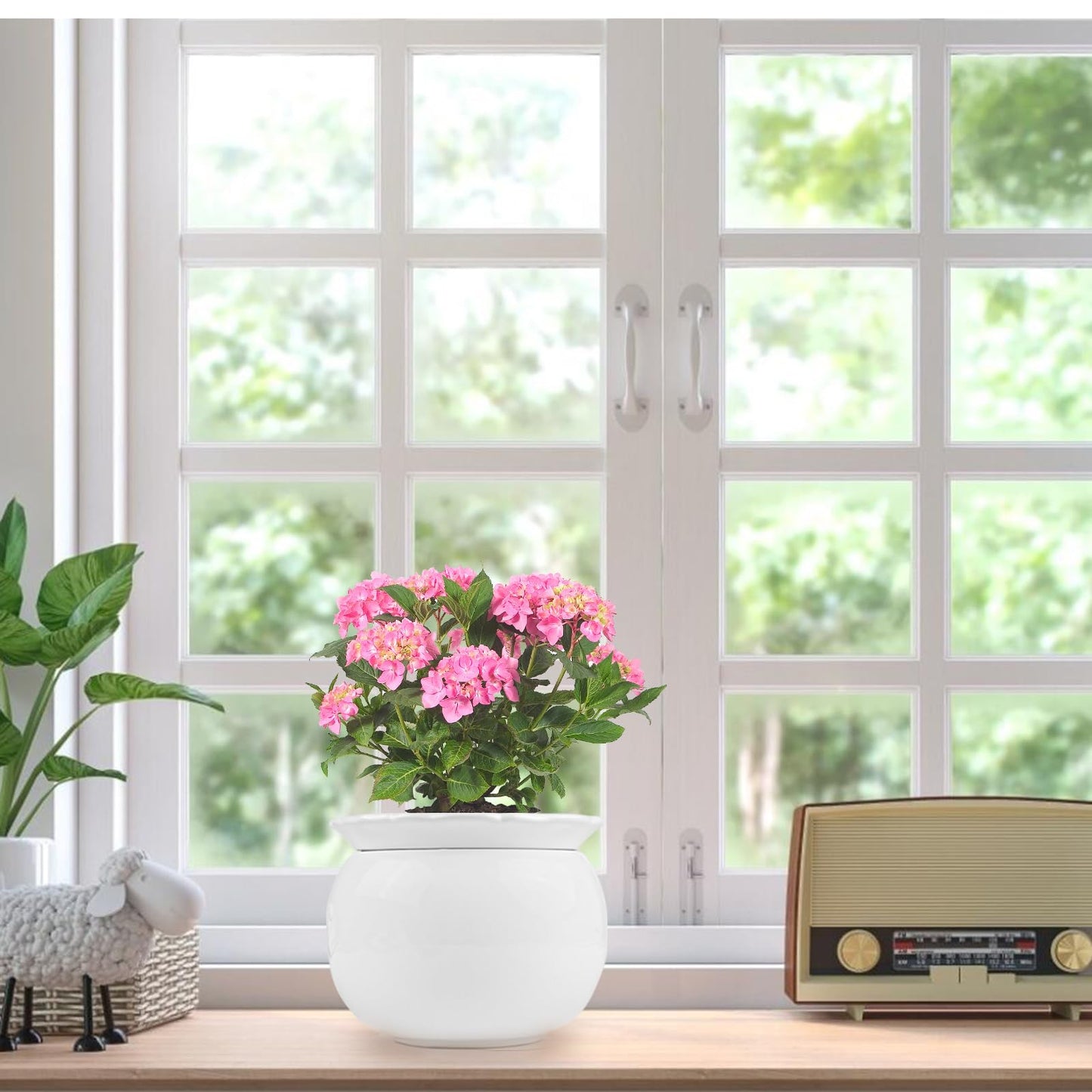BUYMAX African Violet Pots, 6 inch Ceramic Easy Self Watering Plant Pot for Busy Plant Lovers, Automatically Absorb Appropriate Amount of Water, Flower Pot Indoor-Plants Not Included