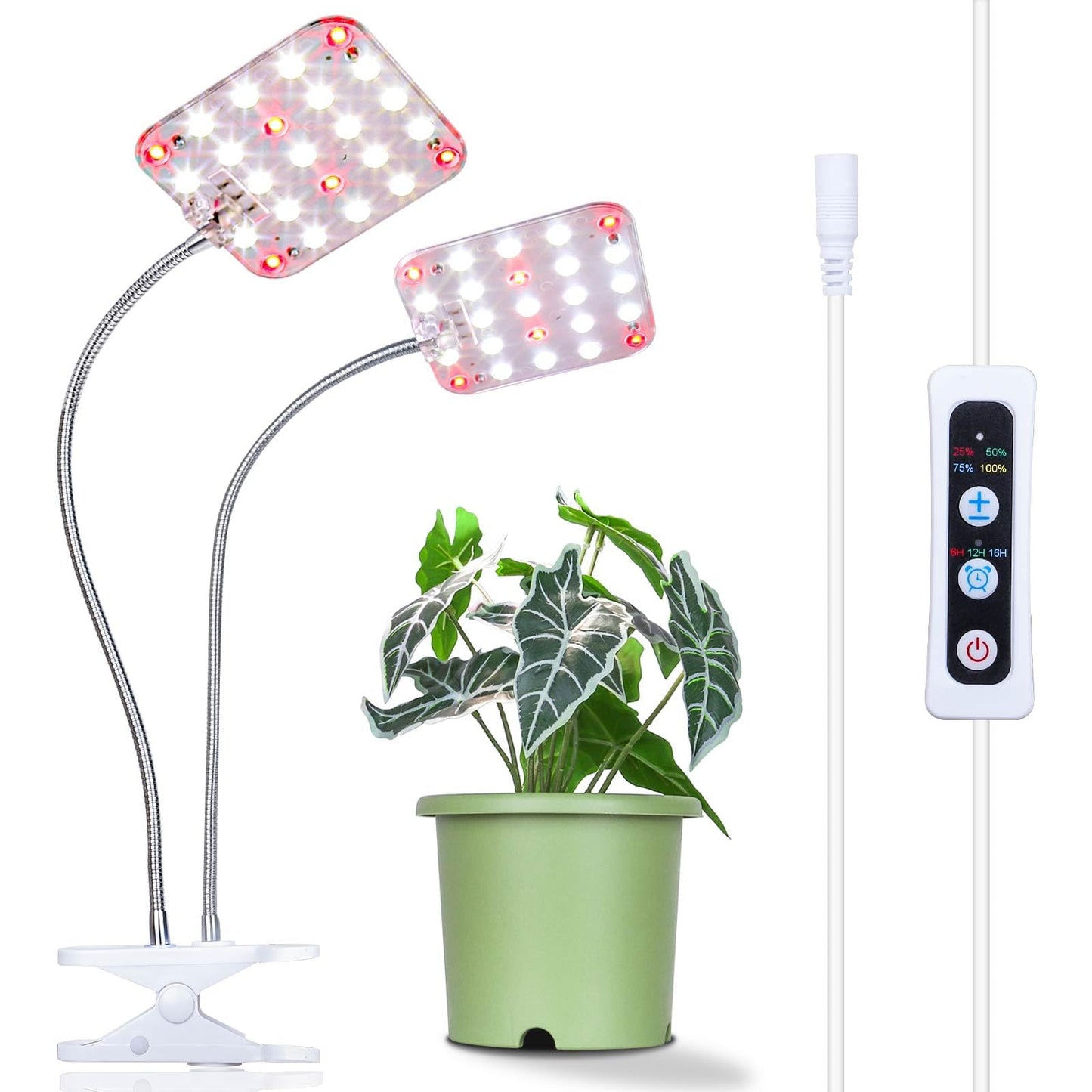 DOMMIA Plant Light, Dimmable Desk Clip on Plant Light for Indoor Plants with 6/12/16h Timer, Gooseneck Grow Lamps, Full Spectrum for Seeding, Succulent, Potted Plants, 2-Head