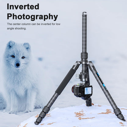 72.6'' Carbon Fiber Tripod Camera Monopod WEYLLAN Heavy Duty Tripod for Camera, 32.5mm Tube, Professional Camera Tripod with 44mm Arca Low Profile Ball Head, DSLR Stand for Telescope, Camcorder
