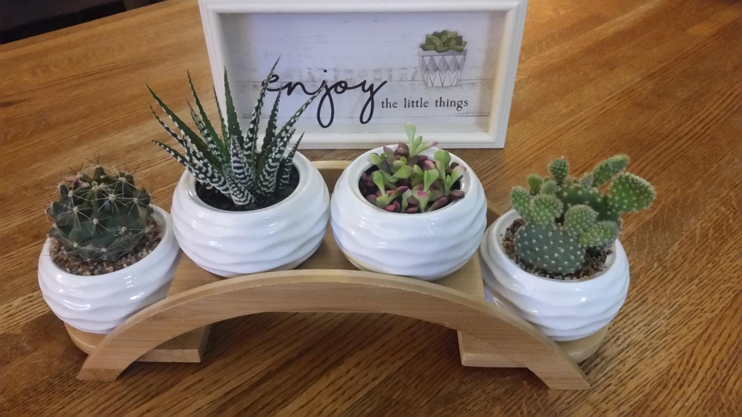 E-liu Succulent Pots and Stand Set, Ceramic White Succulent Planter Pot with Drainage, Pack of 4, Cute Office Garden Indoor Decoration, Plants Not Included