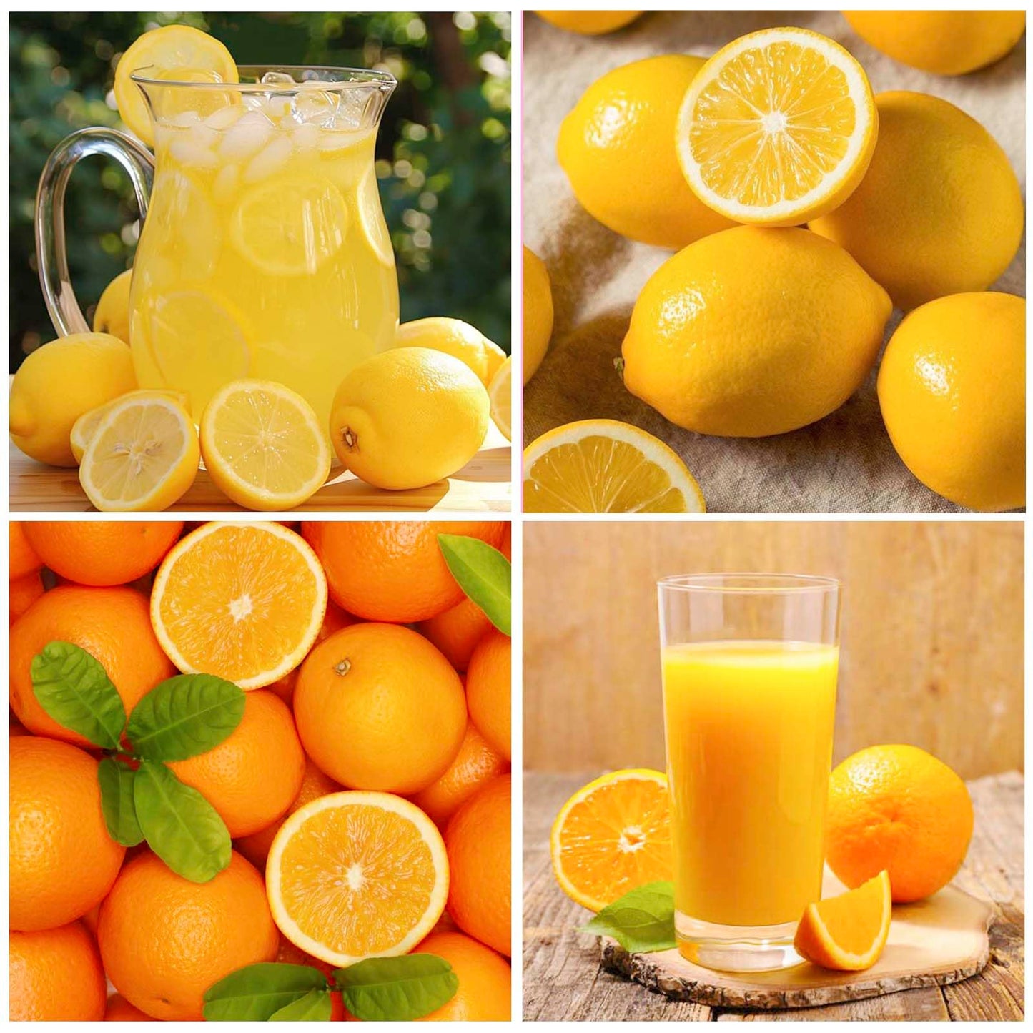 Mixed Fruit Seeds for Planting (6 Varieties) -40 Lemon 10 Cherry 40 Apple 40 Orange 10 Blueberry and 40 Passion Fruit Seeds for Home Garden- Non-GMO Seeds