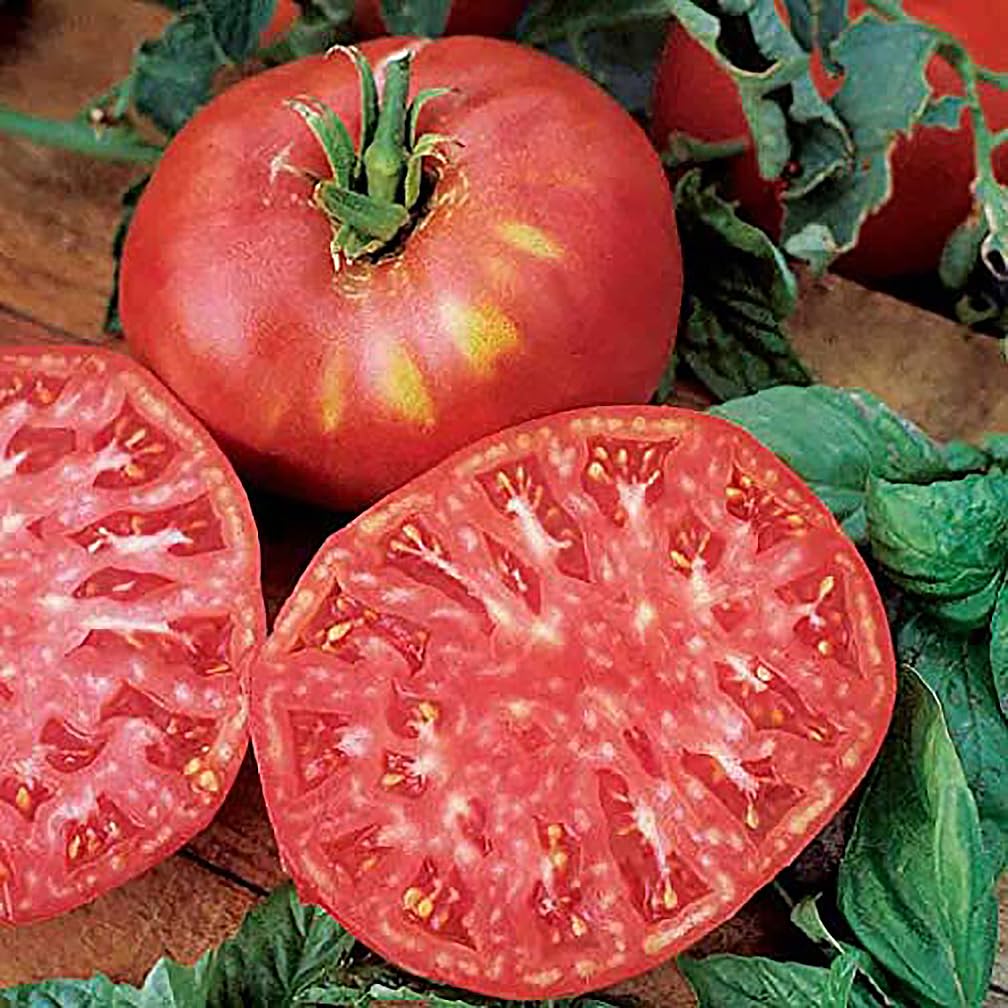 Pink Brandywine Tomato Seeds for Planting – Heirloom, Large & Juicy – One of the Most Delicious Tomatoes for Home Growing – Vegetable Seeds for Planting - Grown in the USA
