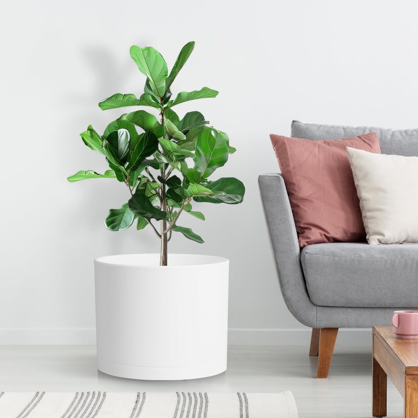 DGJDLWHX Large Plant Pots Set of 3 – 8", 9", 10" Indoor Flower Pots with Drainage Holes and Saucers, Big Planters for Monstera, Fiddle Leaf Fig, Snake Plant – 5 Colors