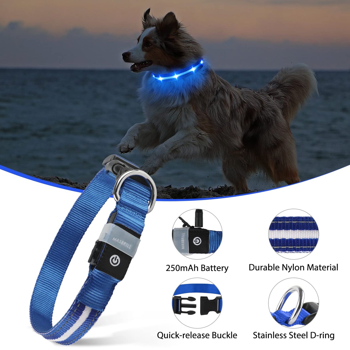 MASBRILL Luminous Dog Collar, LED Rechargeable and Waterproof Dog Collar, 3 Glowing Modes and Adjustable Size Suitable for Small Large Dogs (Blue, M)