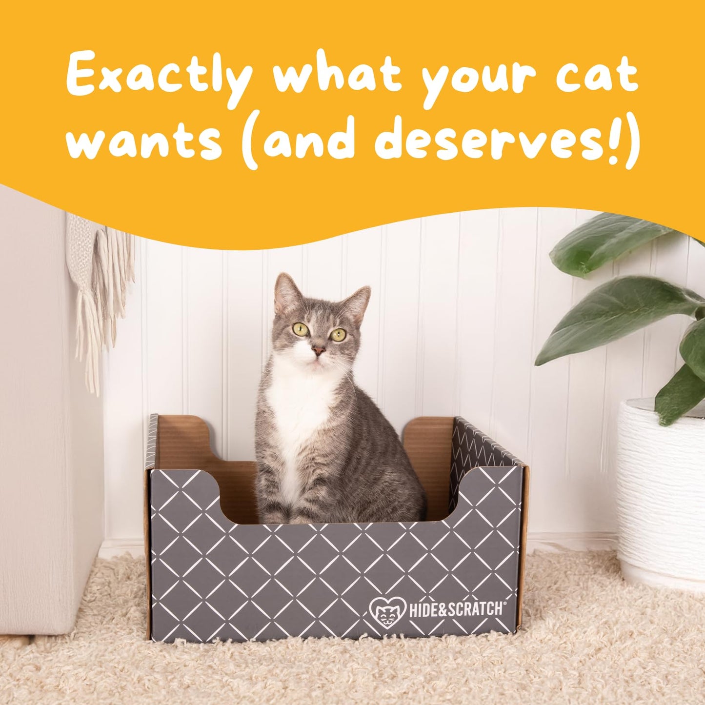 HIDE & SCRATCH Large Cardboard Cat Bed and Scratching Box with Refillable Double-Sided Cardboard Cat Scratching Board (40 x 33cm)