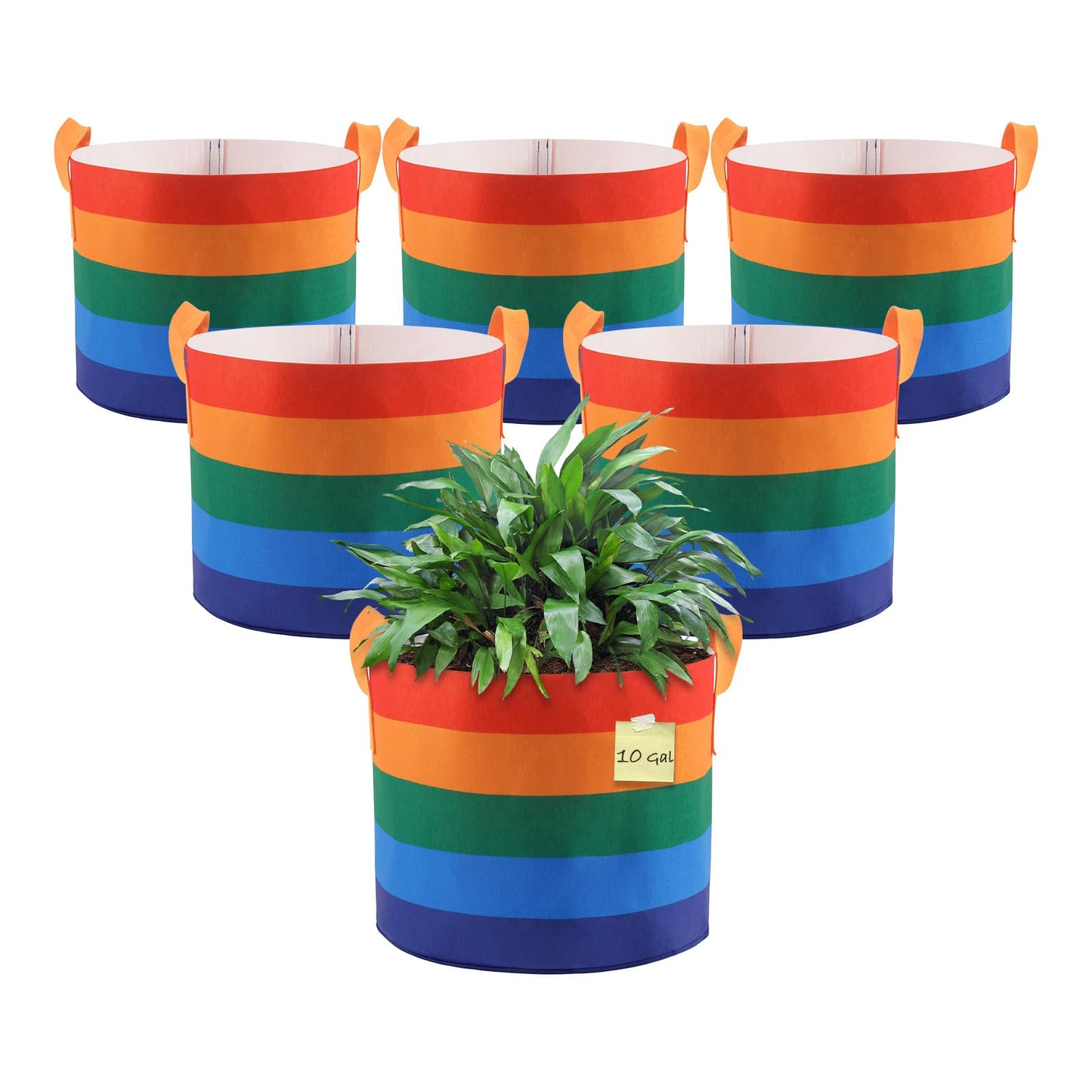 LITLANDSTAR 6 Pack 10 Gallon Grow Bags, Heavy Duty Thickened Colorful Nonwoven Plant Fabric Pots with Handles, Five-Color Tone Garden Plant Bags for Fruits Vegetables Flowers Herb