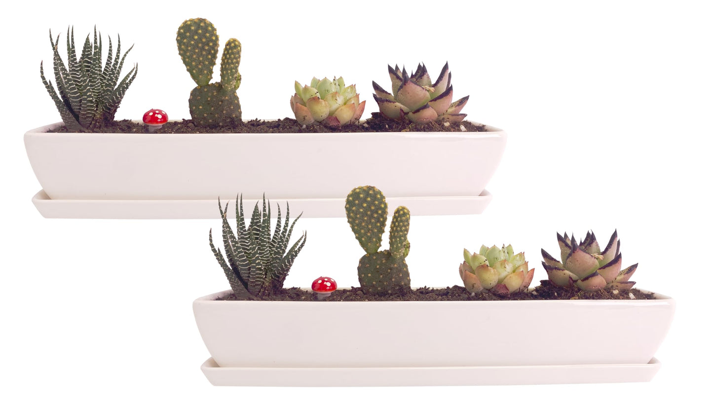 Kipokalor Two Set of Long Rectangular Modern Succulent Planter Pot,with Ceramic Saucer for Office,Desk,Window. (2)